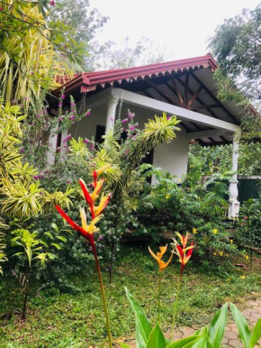 Scenic Cottage Sigiriya